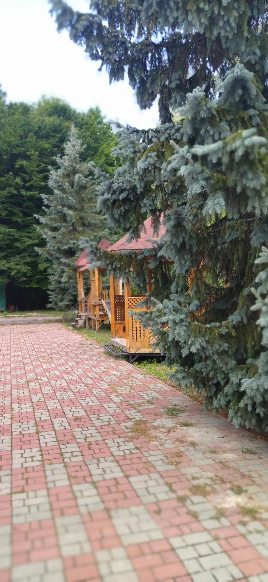 Санаторій Збруч Hotell Sataniv Eksteriør bilde